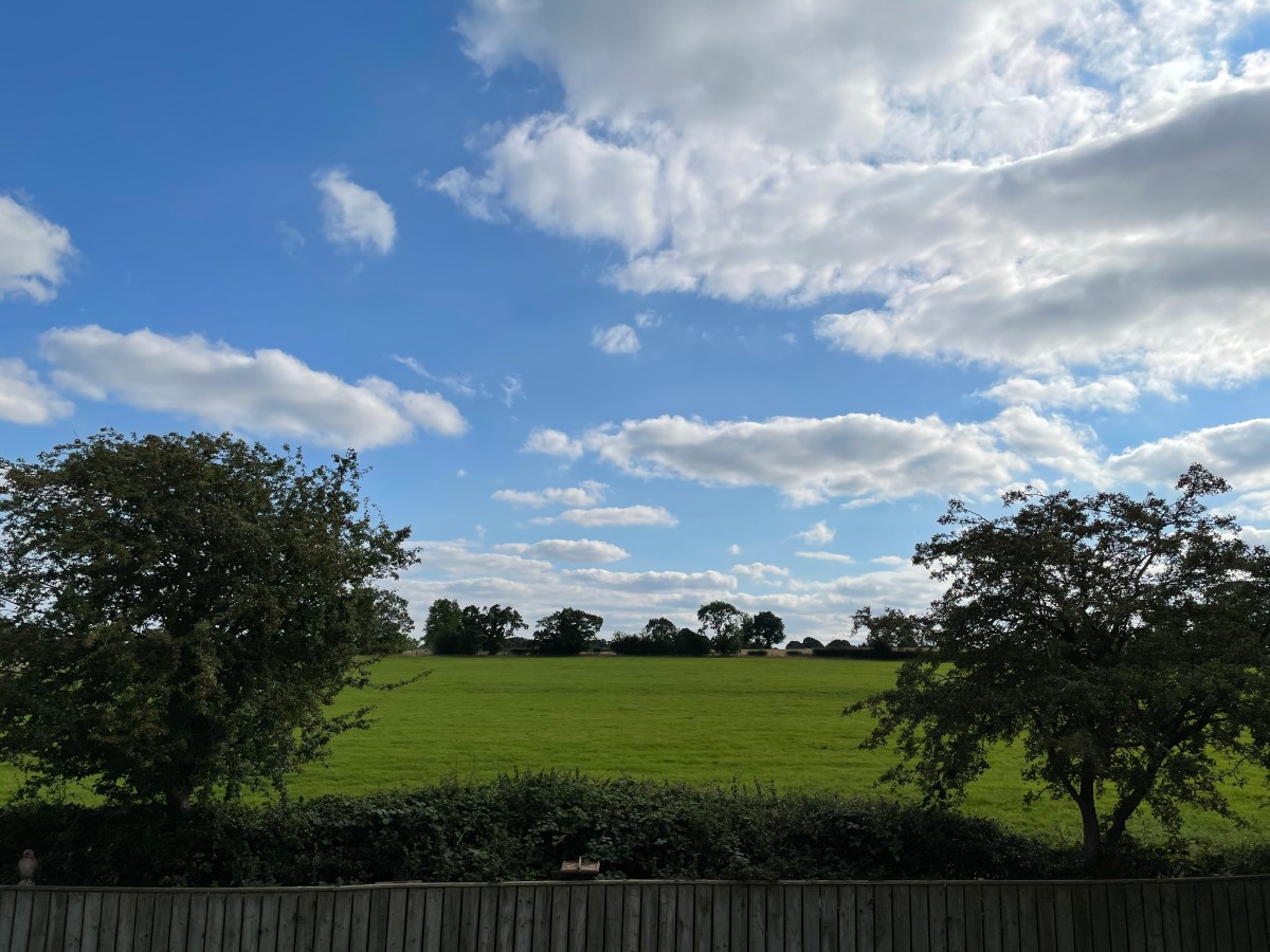 The Adventure Begins